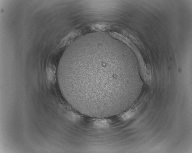 X0000067870332200604201224