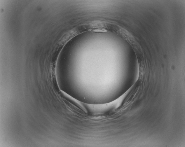 X0000067870333200604201224