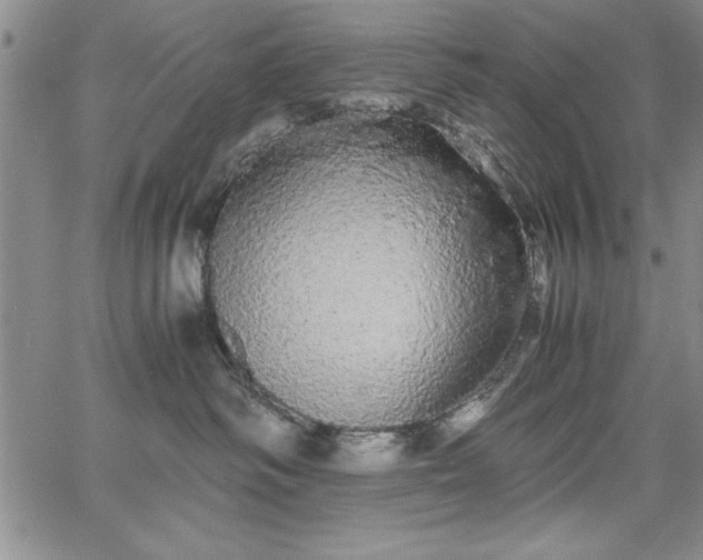 X0000067870334200604201224