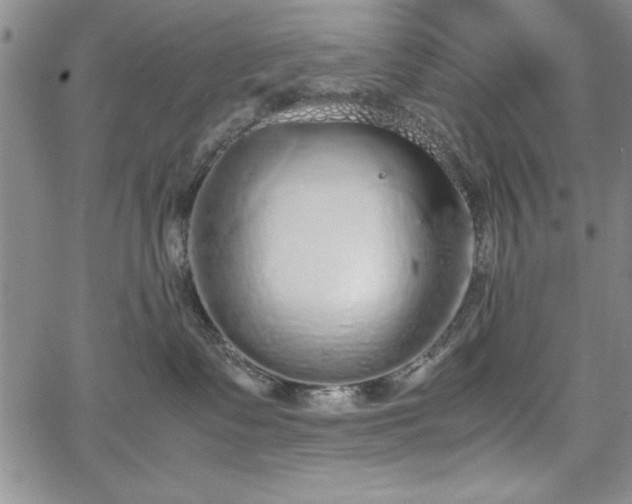 X0000067870335200604201224