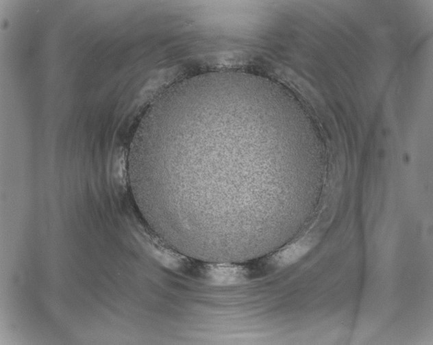 X0000067870336200604201224