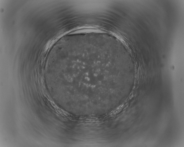 X0000067870337200604201223