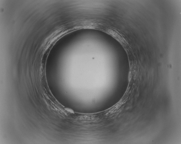 X0000067870338200604201223