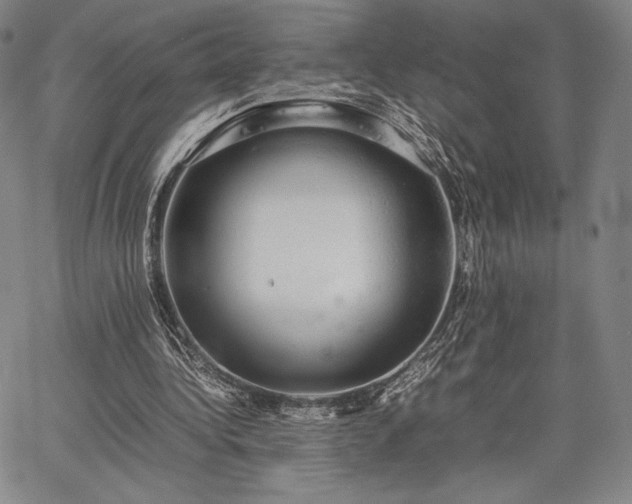 X0000067870340200604201223