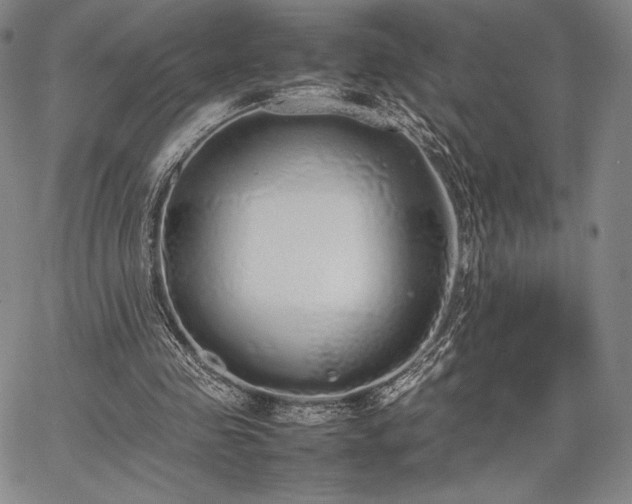 X0000067870341200604201223