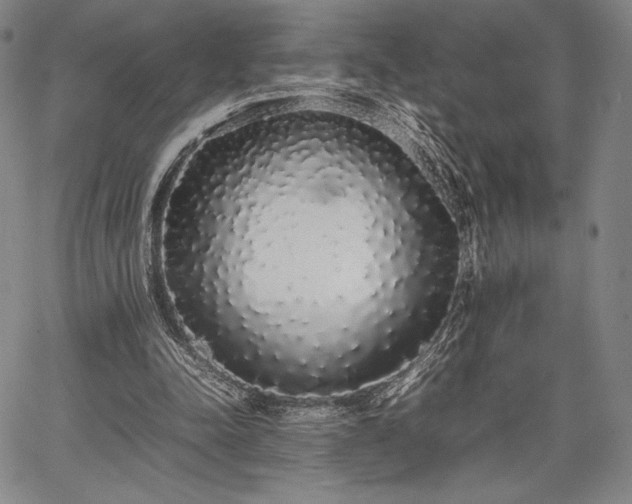 X0000067870342200604201223