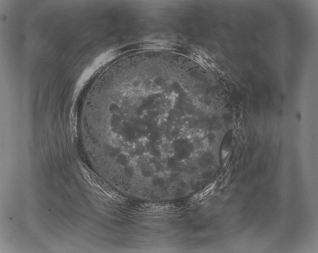 X0000067870343200604201223