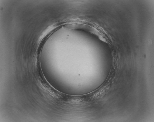 X0000067870344200604201223