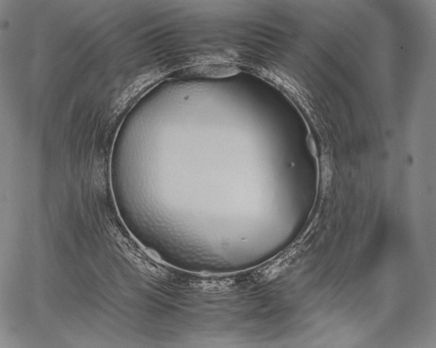 X0000067870345200604201223