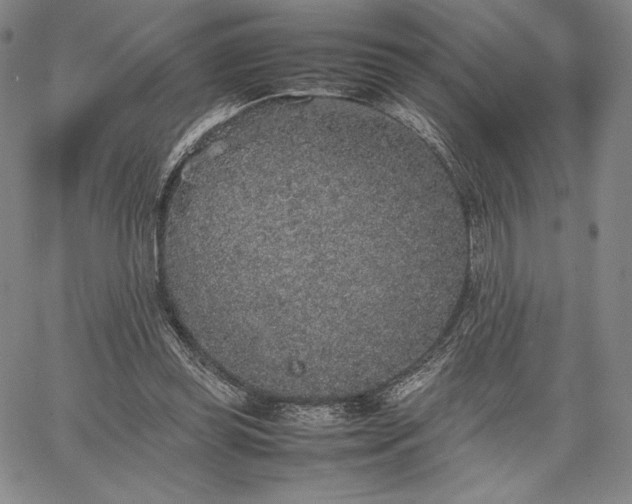 X0000067870349200604201224