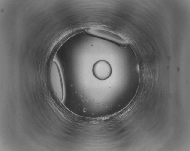 X0000067870350200604201224