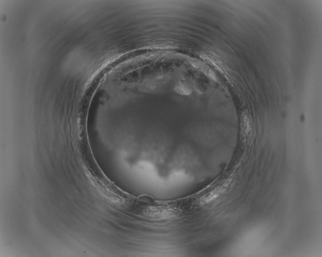 X0000067870351200604201224