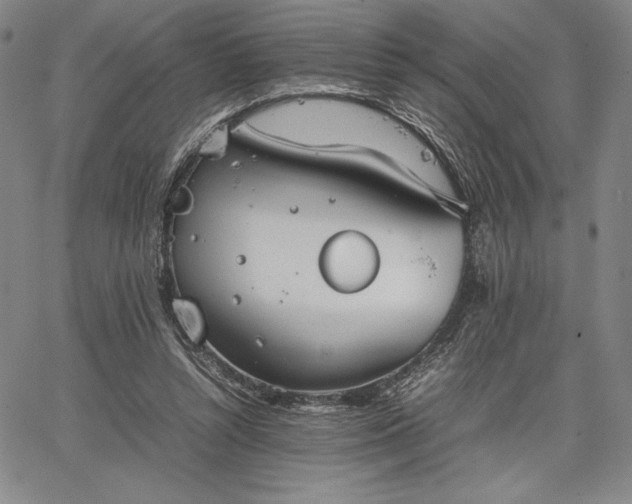 X0000067870352200604201224