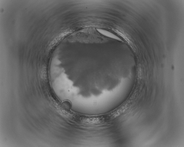 X0000067870353200604201224