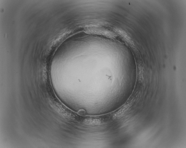 X0000067870354200604201224