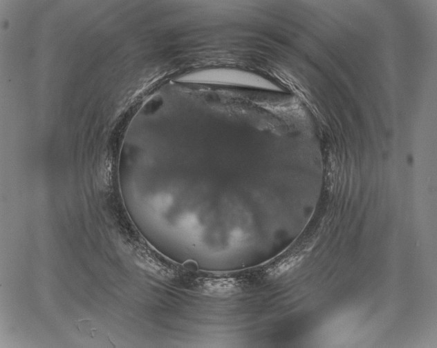 X0000067870355200604201224