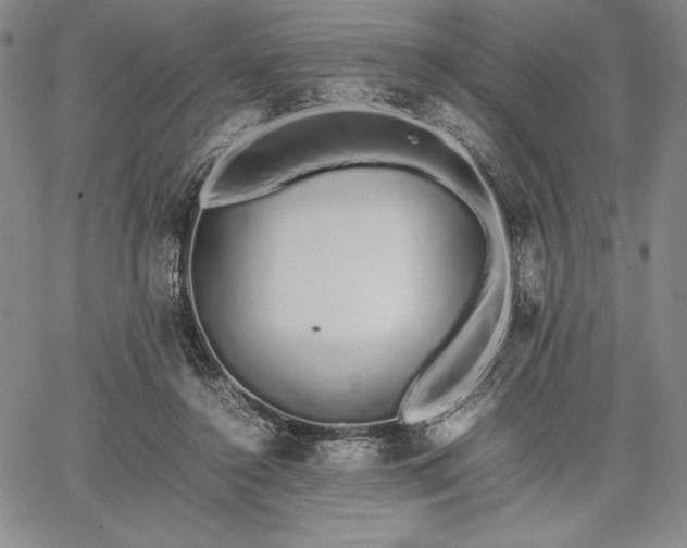 X0000067870356200604201224