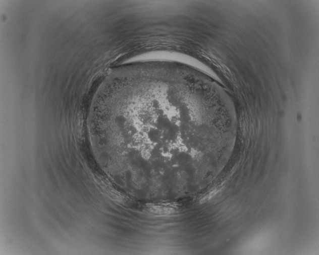 X0000067870359200604201224