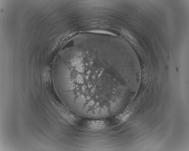 X0000067870361200604201224