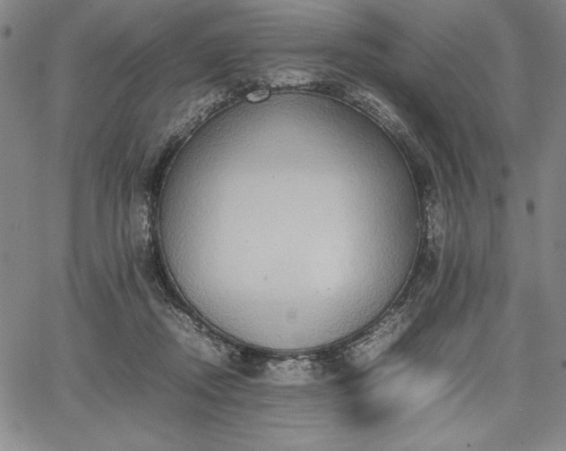 X0000067870362200604201224