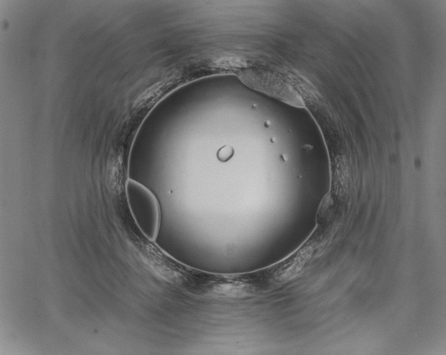 X0000067870364200604201224