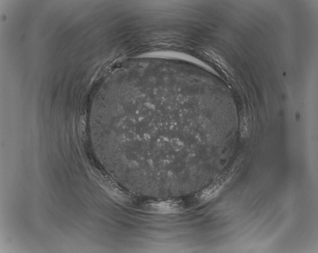 X0000067870365200604201224