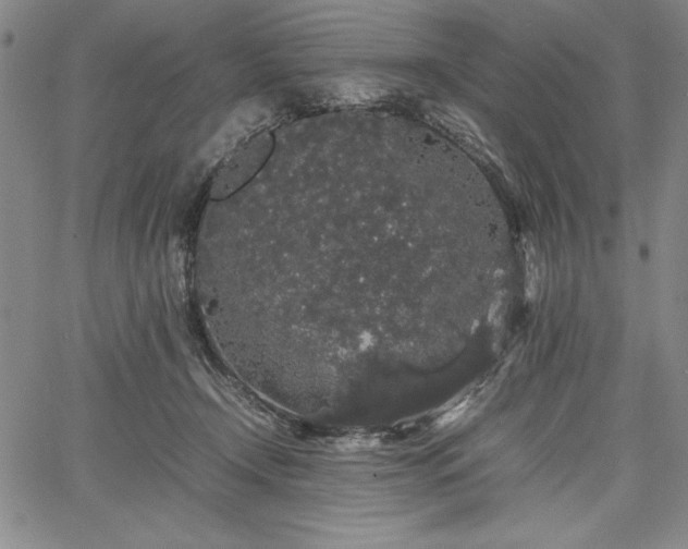 X0000067870366200604201224