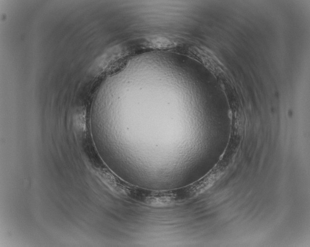 X0000067870368200604201224