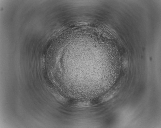 X0000067870369200604201224