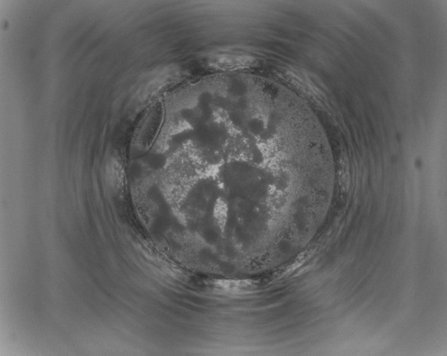 X0000067870371200604201224