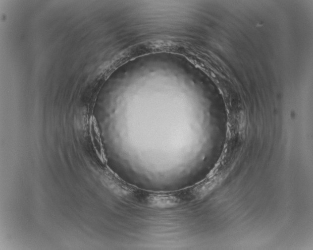 X0000067870372200604201224