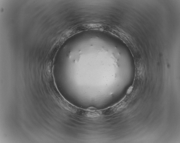 X0000067870373200604201224