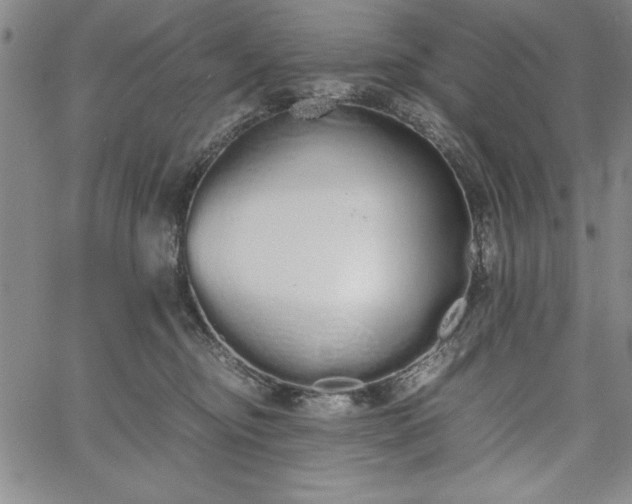 X0000067870374200604201224