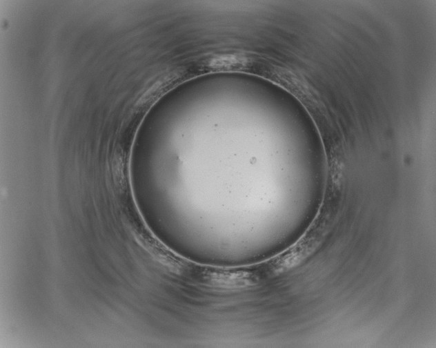 X0000067870375200604201224