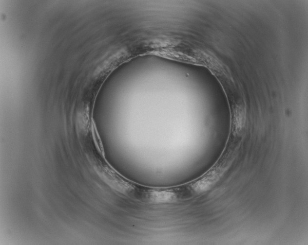 X0000067870376200604201224