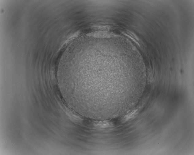 X0000067870377200604201224