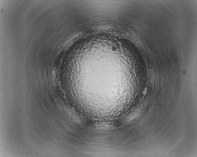 X0000067870378200604201224