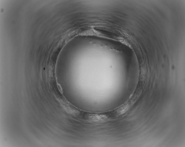 X0000067870379200604201224