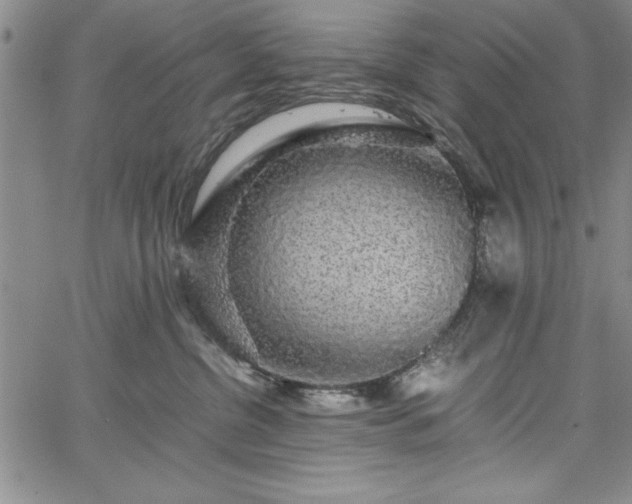 X0000067870380200604201224