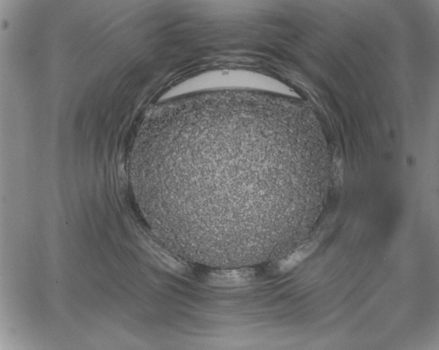 X0000067870381200604201224