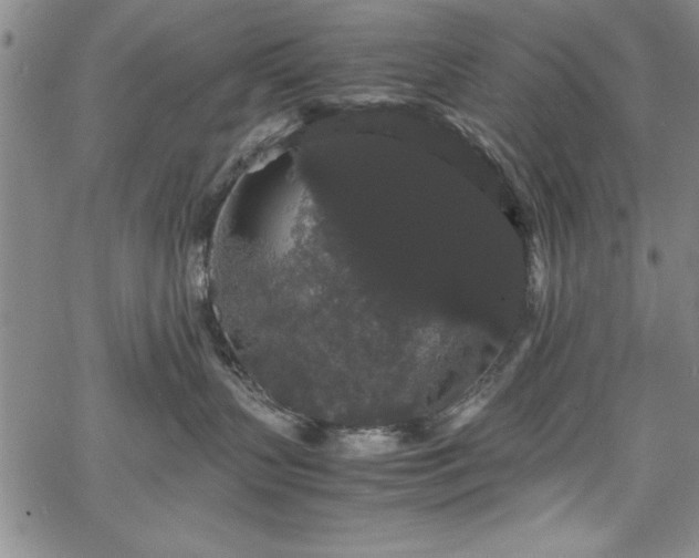 X0000067870383200604201224