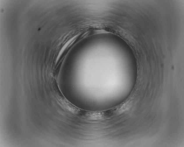 X0000067870384200604201224