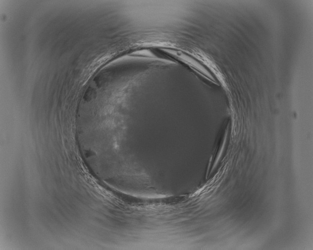 X0000067870385200604201223