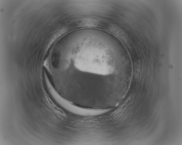 X0000067870386200604201223