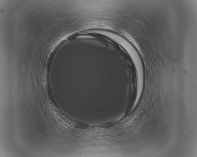 X0000067870387200604201223