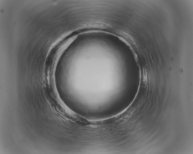 X0000067870388200604201223