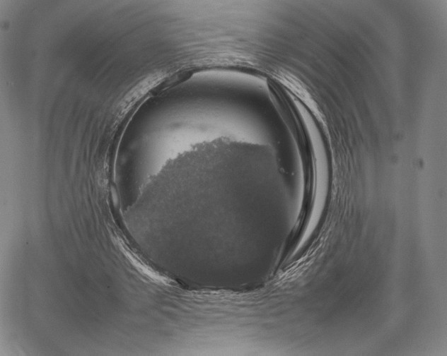 X0000067870389200604201223