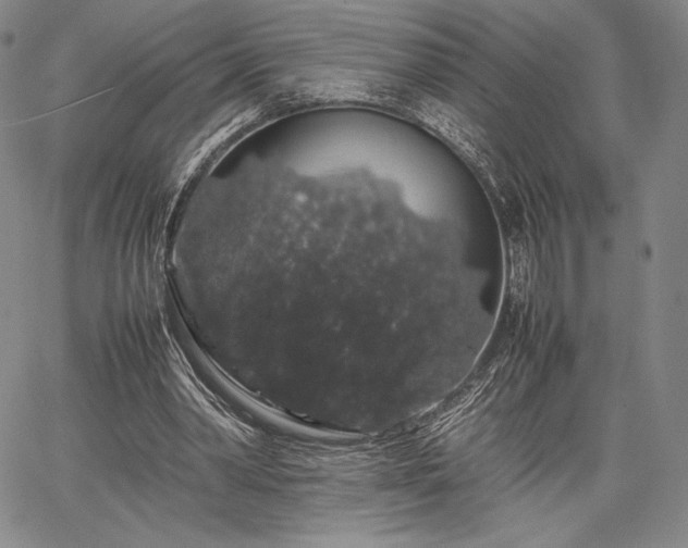 X0000067870390200604201223