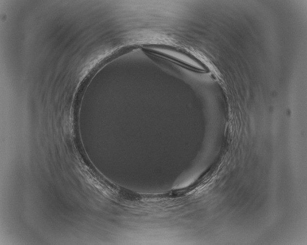 X0000067870391200604201223