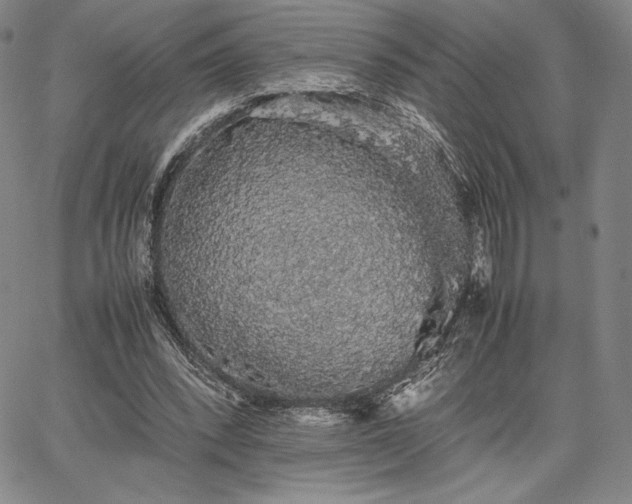 X0000067870392200604201223